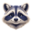 raccoon